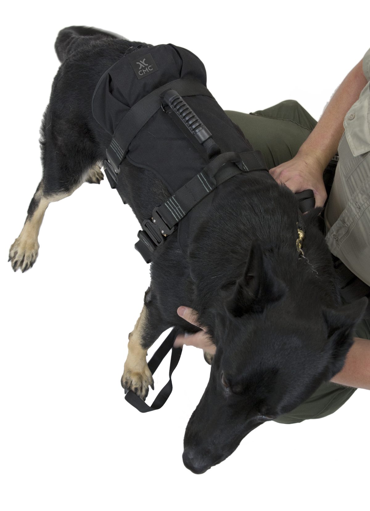 CMC K9 Proseries Rappel Harness, rappel harness for working dogs, rear view - imagen 5