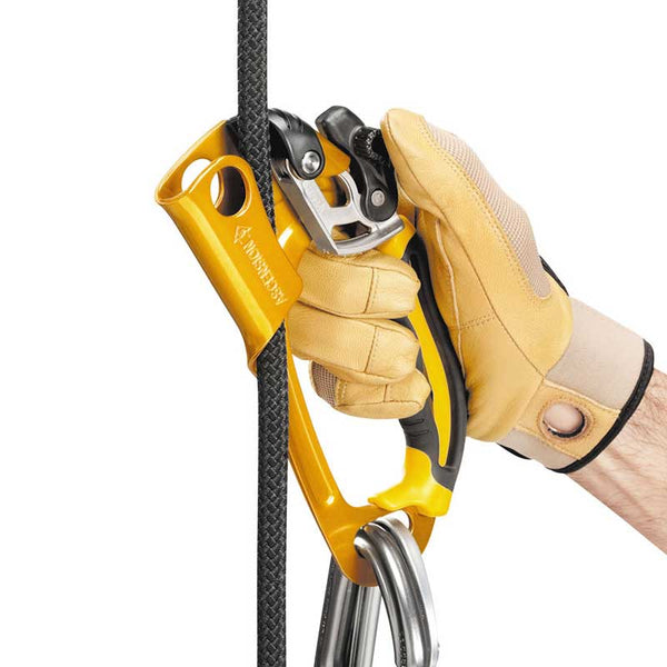 Petzl ASCENSION Ascender - Safety Catch