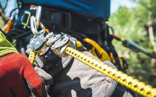 Petzl Ascenders: Take Your Climbing to the Next Level – Find this article on MTN Shop US.