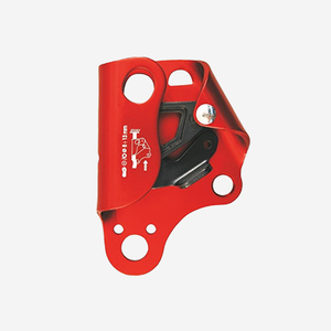 Red brake plate