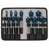 Bosch Power Tools Daredevil 13-Piece Spade Bit Set - Pack– – Now available at MTN Shop US.