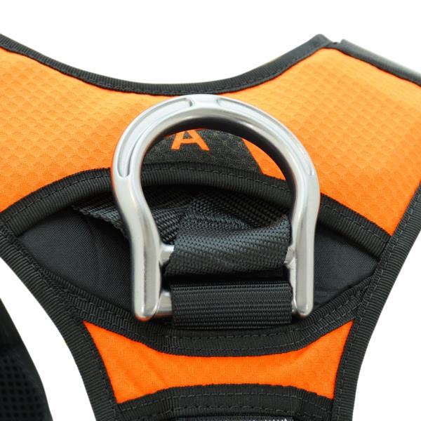 KONG X-FIVE FAST HARNESSES– – Now available at MTN Shop US. - imagen 5