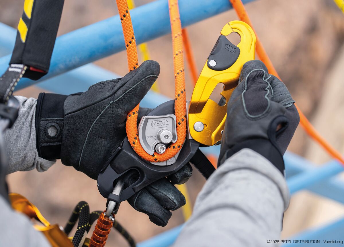 Petzl RIG descender rear view showing product markings - imagen 7