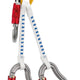 Petzl Iguane