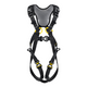 Petzl Newton Fast International Version