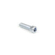 CM Loose End Screw