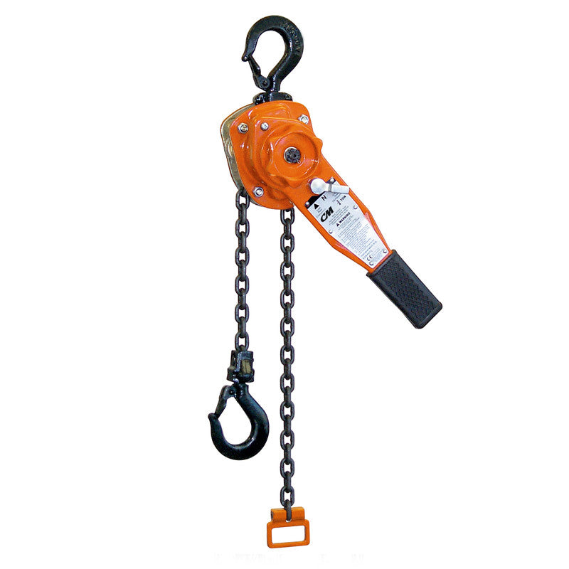 CM Series 653 Paladro Hoist