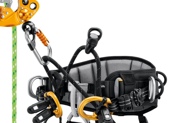 Petzl SEQUOIA SRT Tree Care Seat Harness - Gated Attachment Points