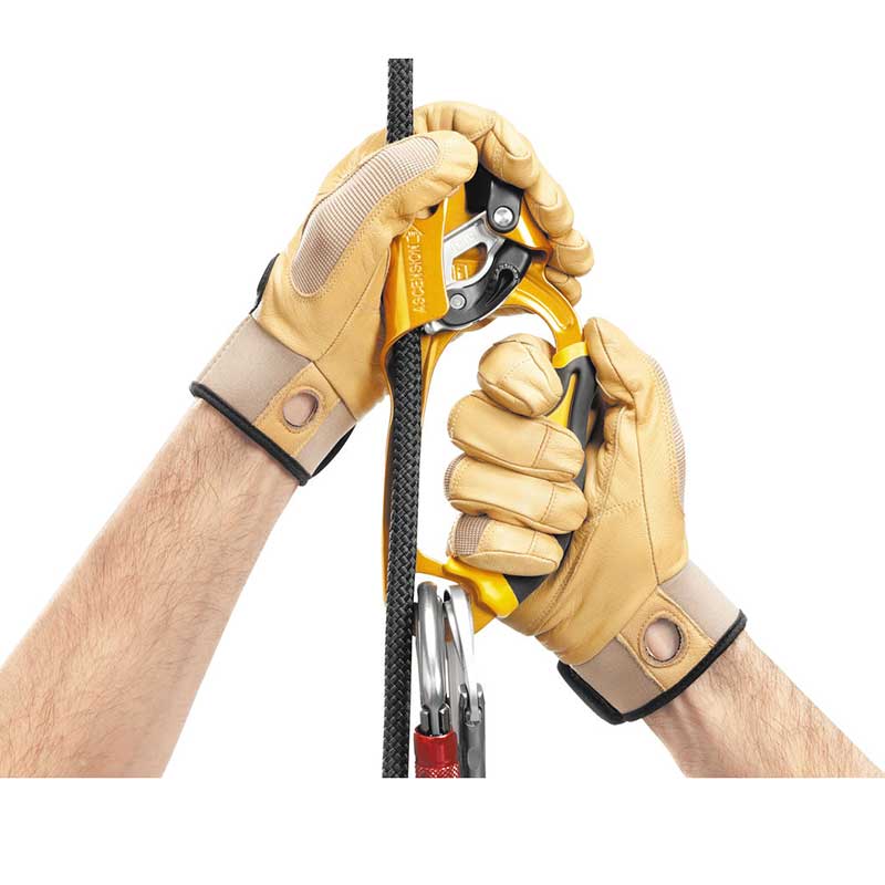PETZL - PETZL ASCENSION アッセンション 左右セット Petzl ASCENSION Ascender – MTN SHOP