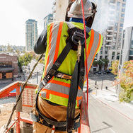 Standard Non-Belted Full Body Harness
